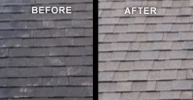 Roof Before-After