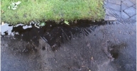 Runoff 1