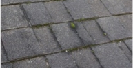 Roof 1